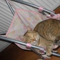 /album/fotogaleria/a559586-112850098848177-227971156-n-jpg1/